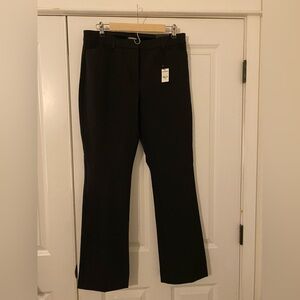 NWT Express Columnist Pants
